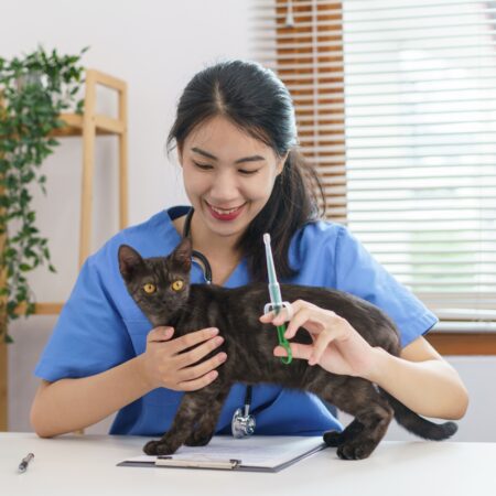 Veterinary featured img