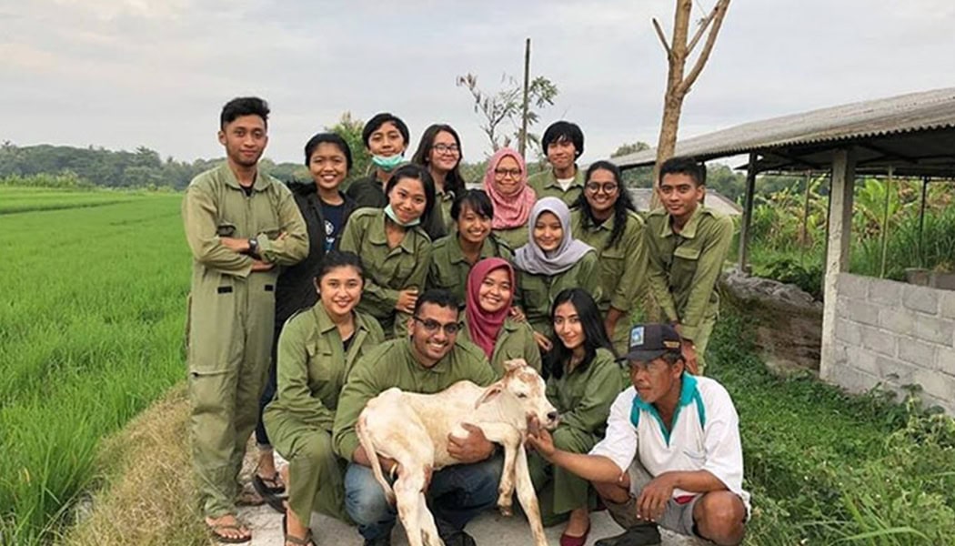 IPB-IMG05